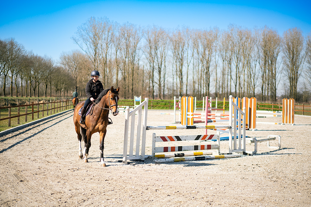 Lessen voor ruiters